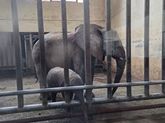 -石家庄市动物园