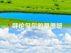 -呼伦贝尔大草原