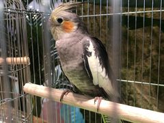 -龟与熊猫宠物公园(南坪店)