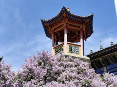 -西宁市东关清真大寺