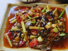 -青城甲(青城山店)