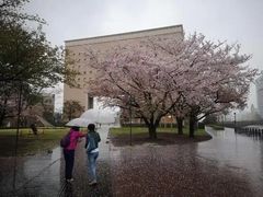 -学习谷日语培训日本留学·多语种外语教学(西单宣武分部)