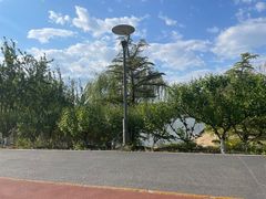 -大兴滨河森林公园