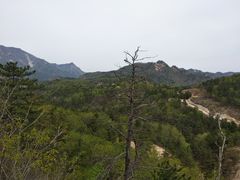 -六里坪国家森林公园