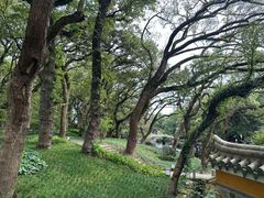 -普陀山风景名胜区-法雨禅寺