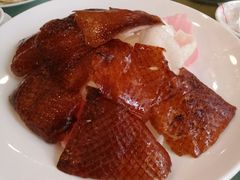 -金河半岛园林酒家(金融城店)