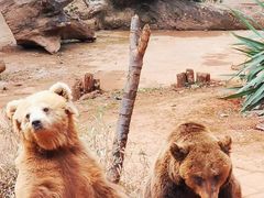-昆明动物园