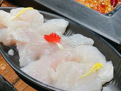 金沙江龙鱼-老牌坊云南鱼豆花火锅(嵩山店)