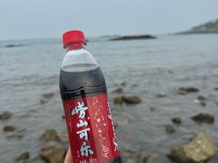 -小麦岛公园