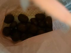 -金栗王(清扬路店)