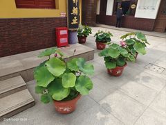 -龙音寺