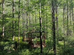 -秦岭风景区