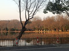 -西湖风景区十里琅珰-五云山