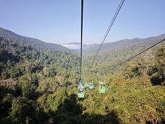 -野象谷景区