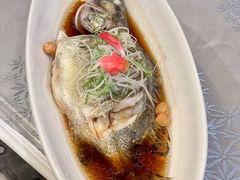 -十八棵（老龙井）御茶园(老龙井店)