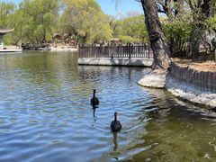 -石家庄市动物园