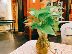 -上海安亭别墅花园酒店