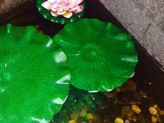 -外婆船宴餐厅·外婆喊你回家吃饭