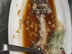 -沪碟·精菜坊(闵行店)