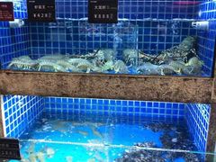 水产区-徐记海鲜(梅溪新天地店)