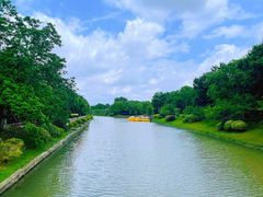 -上海海湾国家森林公园