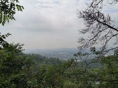 -滴水岩森林公园