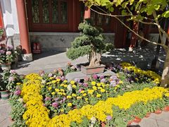 -迎泽公园