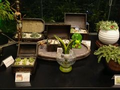 android_upload_pic-漫渡庄绿岛花园•隐世庭园菜(滨湖店)