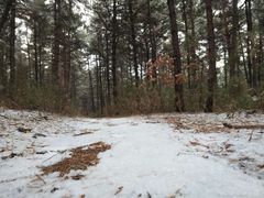 -帽儿山国家森林公园