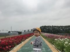 -迪茵湖田家舍生态农场