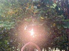 -禹州森林植物园