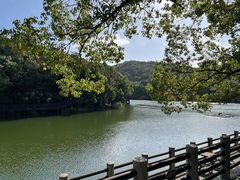 -白马涧龙池景区