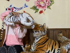 -果松木炭酸菜铜火锅·外婆参鸡汤