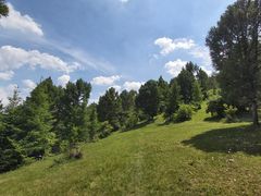 -玉泉威虎山森林公园