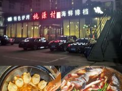 -桃源村铁锅炖鱼(体育馆道店)