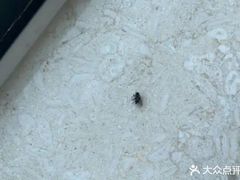 -全季酒店(北京西站南广场店)