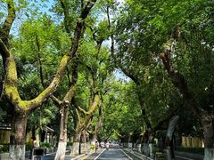 -颐和路民国时期公馆风貌区