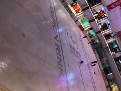 -炫采冰场(红博中央公园商场店)