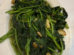 猪油渣炒红薯叶-阳江餐厅·30年老字号·粤菜海鲜大排档