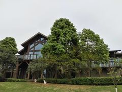 -铁山坪森林公园