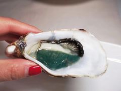 -Oyster Talks 四度蚝法餐厅