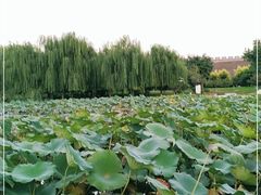 -云居湖