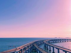 -星海湾跨海大桥