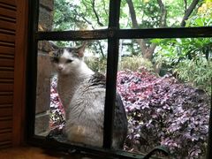 景观位-马勒别墅·中餐厅