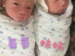 -爱贝佳月嫂公司(沈阳分公司)
