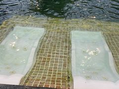 -观唐（国际）度假村温泉