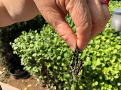 -邵汇大虾(吉林大路店)