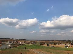-空港花田景区