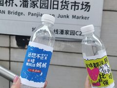 -潘家园(地铁站)
