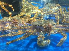 -神农美特好生鲜超市(康宁街店)